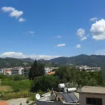 Kamelya