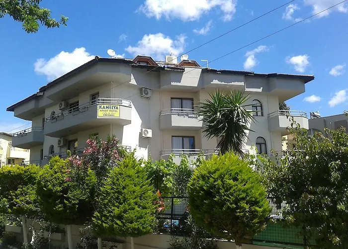 Kamelya 3*