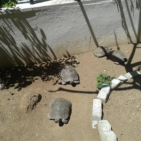 מלון דירות Kamelya 3*