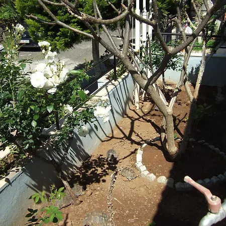 Lägenhetshotell Kamelya