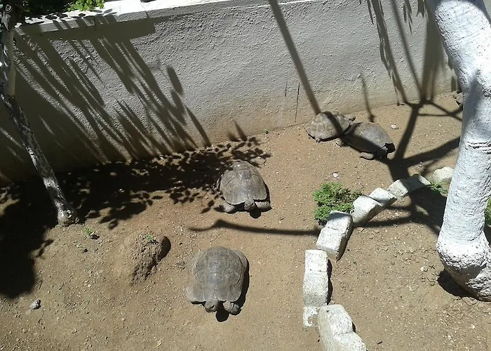 アパートホテル Kamelya 3*