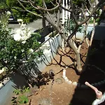 شقة فندقية Kamelya